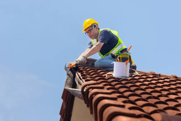 Gutter Replacement in Rancho San Diego, CA